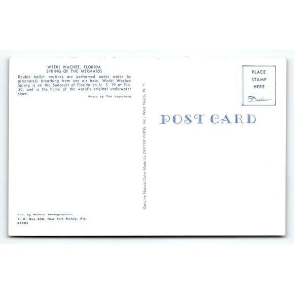 Weeki Wachee Mermaid Florida Vintage Postcard 2 Women Perform Underwater Chrome - Picture 2 of 2